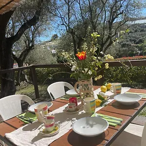 Campingplatz Camper Village